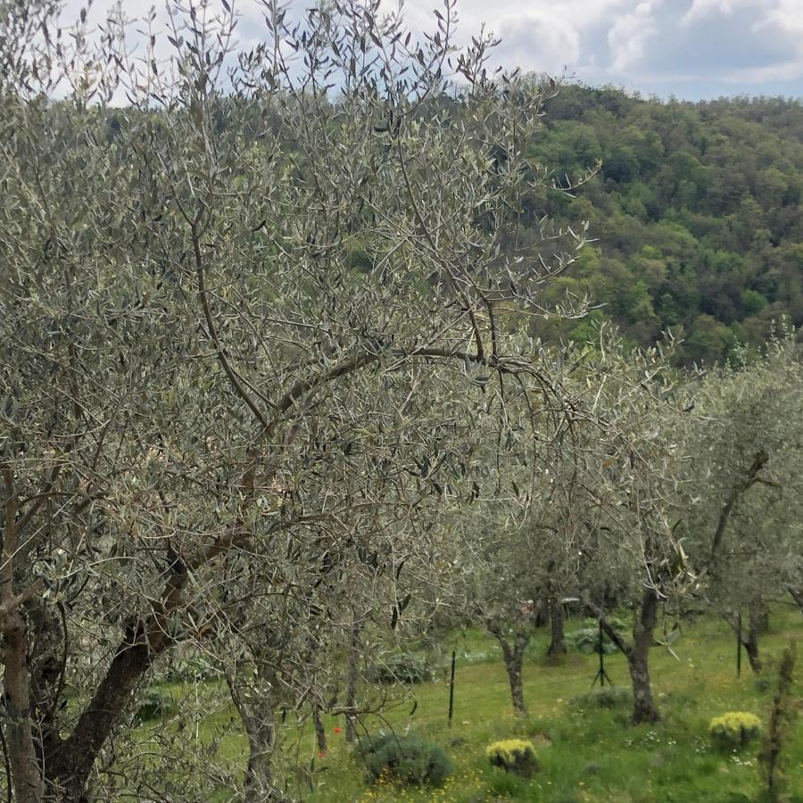 La Maison De Campagne Rigomagno Eksteriør billede